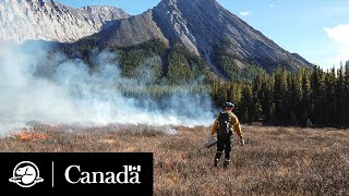 Fire! | Climate Crew | Parks Canada
