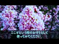 【感動する話】雑用仕事を引き受ける窓際社員の俺。ある日、汚い清掃員と見下されていた女性を助けると部長「無能はクビ」→1週間後、100億の契約が次々に破棄に【いい話・朗読・泣ける話】