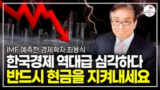 한국 경제는 병들었습니다. 반드시 현금을 지켜야 합니다. (IMF 예측한 경제학자 최용식)