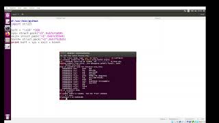 Using python struct library in DEP/NX bypass exploit