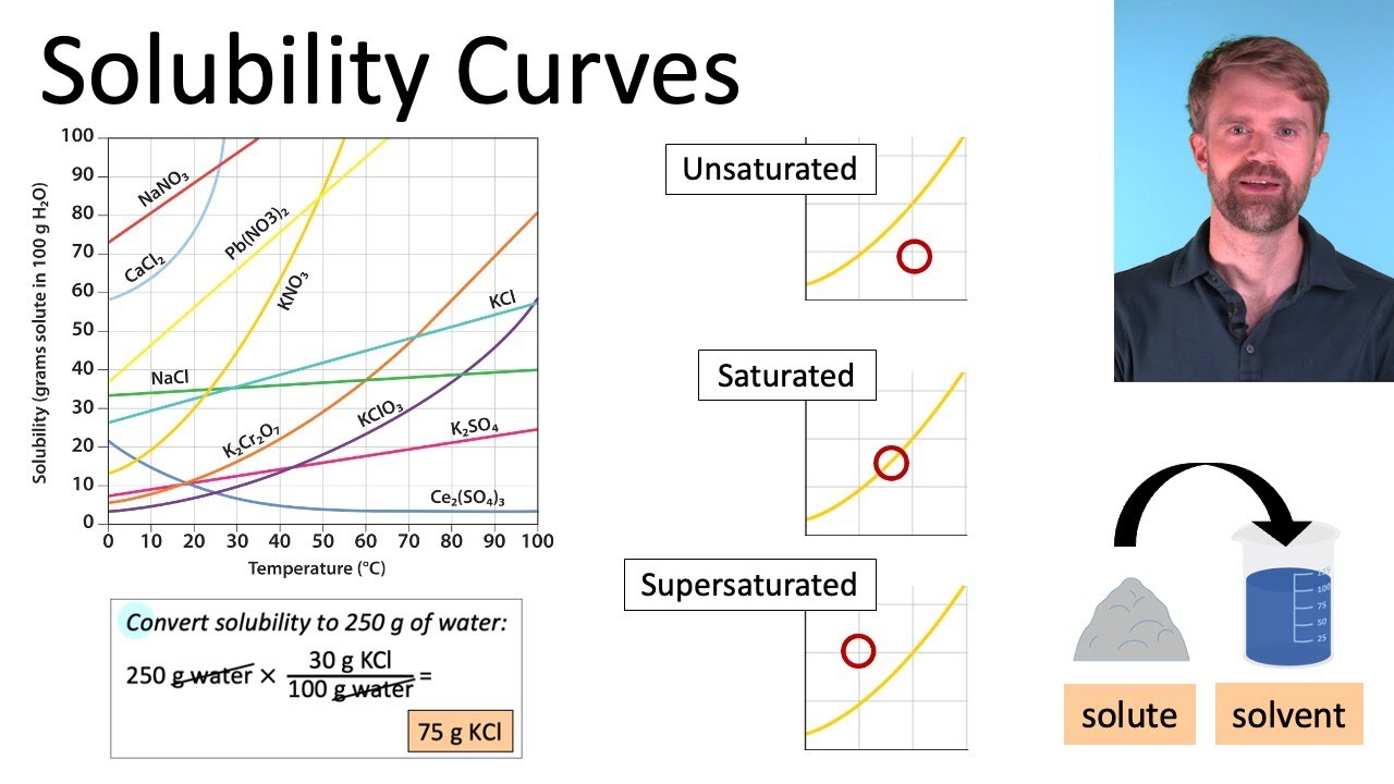 Master Solubility Graphs Us Student S Ultimate Worksheet Guide
