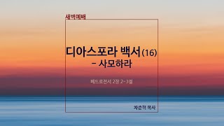 디아스포라 백서 (16) - 사모하라 [원포인트 새벽예배] | 벧전 2:2-3 | 바이탈교회 | 차준혁목사 | 2021.12.27