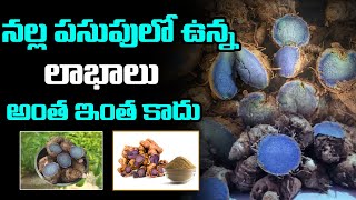 నల్ల పసుపు లో ఉన్న లాభాలు ఇవే : Black Turmeric Health Benefits | Health Tips | Haripriyas Health