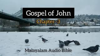 John Chapter 3 | യോഹന്നാന്റെ സുവിശേഷം അദ്ധ്യായം 3 | MALAYALAM AUDIO BIBLE