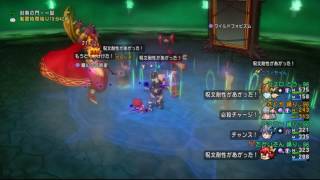 【DQX】魔幻の覇王軍 46秒75+47秒85+49秒71【1獄】