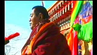 戒杀放生—1—法王如意宝教言 /H.H Jigme Phuntsok: Abondoning Killing \u0026Life-liberating