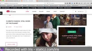 Import Sample Data Alone - Wordpress Theme