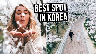 You Need To Visit Busan in South Korea | Everything to See & Do
