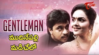 Gentleman Movie Songs | Mudinepalli Madi Chelo Song | Arjun | Madhubala