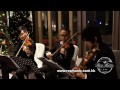 rex music婚宴演奏wedding music 9