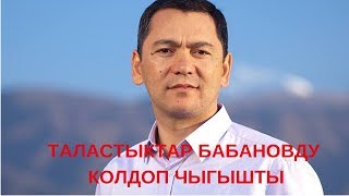 Таластыктар Бабановду колдоп чыгышты