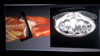 Marshall University: Visualization Lab