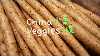 China's Veggies, Ep. 11: Chinese yam