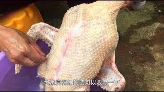 用食盐拔鸭毛，这才是拔鸭毛又快又好的方法，第一次见！