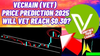 VeChain (VET) Price Prediction 2025 Will VET Reach $0.30?