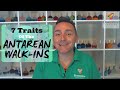 Antarean Walk-In - 7 Mind-Blowing Traits (2020)