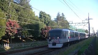 西武鉄道10112F　カナヘイラッピング運転開始　特急本川越行　航空公園付近