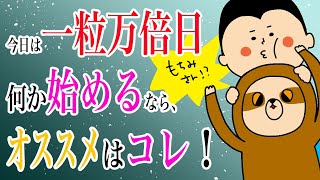 今日は一粒万倍日やりはじめるなら、コレがオススメ！/100日マラソン続〜1205日目〜