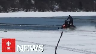 Sure sign of Newfoundland spring