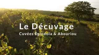 Vignoble Marchais - Le décuvage