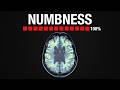 How Antidepressants Actually Work