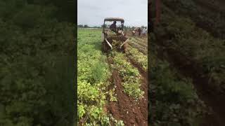 Tractor groundnut digger machine