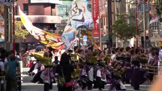 2013 東京よさこい 本祭 燦-SUN- みずき通り