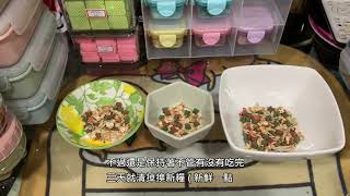 養鼠日記 - 🐹小小收納+日常配糧🐹 限量版紅蘿蔔地瓜燕麥餅 健康上市 :\