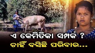 ଏ କେମିତିକା ସମ୍ପର୍କ ?ଚାହିଁ ବସିଛି ପରିବାର..| Domesticated Sambar Deer | Nuapada Komna forest Range | OR