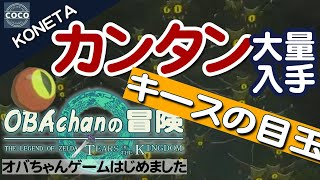 【ゼルダの伝説ティアキン】キースの目玉を簡単に何度でも大量入手できる【ワープマーカー使用】小ネタ