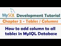 How to add column to all tables in MySQL Database - MySQL Developer Tutorial