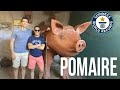 POMAIRE, Pueblo de Artesanos. ¡¡Chancho de greda MAS GRANDE DEL MUNDO!!