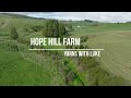From Bare Land to Native Haven: How Easy is the Process?