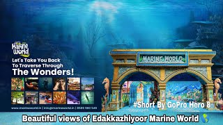 #marineworld 2022 Gaint Fishesin beach,Edakkazhiyoor,chavakkad Arapima,colourFishe#goprohero8