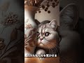 10秒で見る！猫の驚きの隠れ場所🐱💨 猫の隠れ場所 不思議な猫 猫動画 かわいい猫 猫の驚き ペットの瞬間