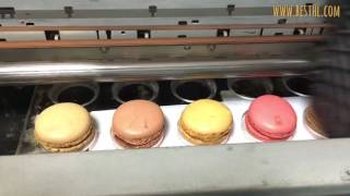 Macaron Printing  food printer