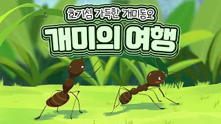 동요연속듣기 [1시간 연속]🌵 개미동요로 많이 알려진 \