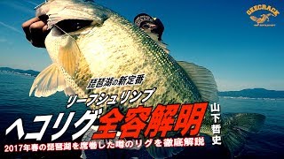 【バス釣り】琵琶湖の新定番！リーフシュリンプのヘコリグ全容解明