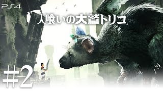 【PS4】だらだら”人喰いの大鷲トリコ” #2