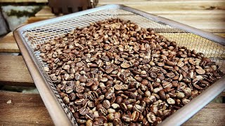 Home Coffee Roasting | 自家焙煎