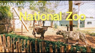 National Zoo Rabat Morocco