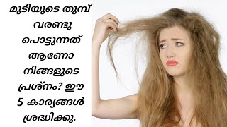 5 Things To Dry Hair For. വരണ്ട മുടി മാറാൻ ഉള്ള കാര്യങ്ങൾ.