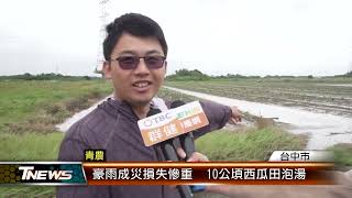 豪雨成災損失慘重  10公頃西瓜田泡湯 │T-NEWS聯播網