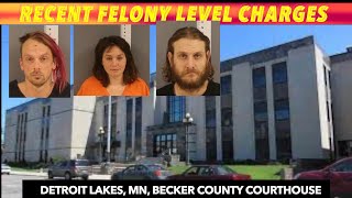 Recent Felony Level Charges In Detroit Lakes, Becker County Court