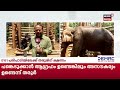 pakal vartha വീണ്ടും ജീവനെടുത്ത് കാട്ടാന another killed in wild elephant attack in thrissur