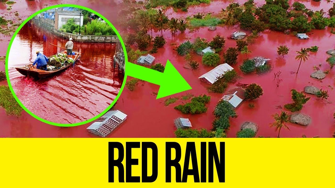 Biggest Scientific Mysteries Finally Solved Youtube