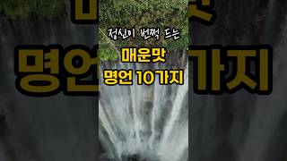 정신 번쩍! 매운맛 명언 10가지 #5분힌트