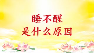 卢台长【睡不醒是什么原因｜如何去除贪睡的毛病｜嗜睡可能是因为大脑萎缩｜如何解决早上起不来的问题】