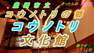 きったんの旅日記　コウノトリの郷公園　コウノトリ文化館230311