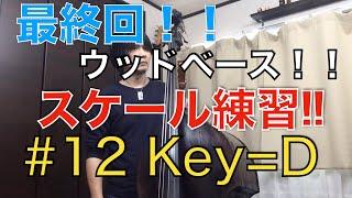 【ウッドベース】最終回！Lesson No.12 初心者用基礎練習 『Dメジャースケール＆Dブルース』